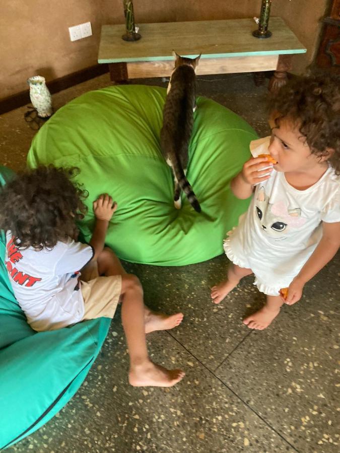 Hotel Amba Kola Udawalawa Udawalawe Esterno foto