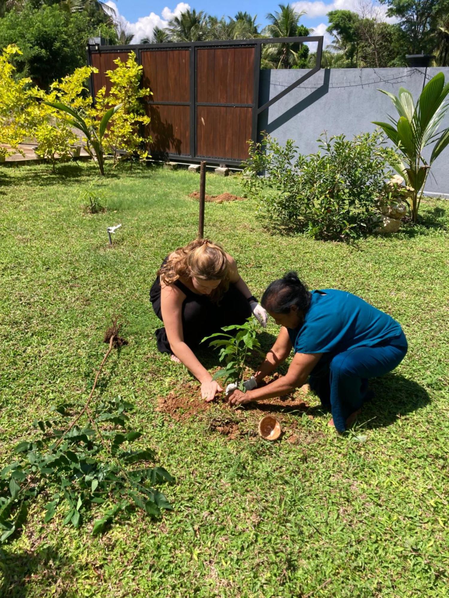 Hotel Amba Kola Udawalawa Udawalawe Esterno foto
