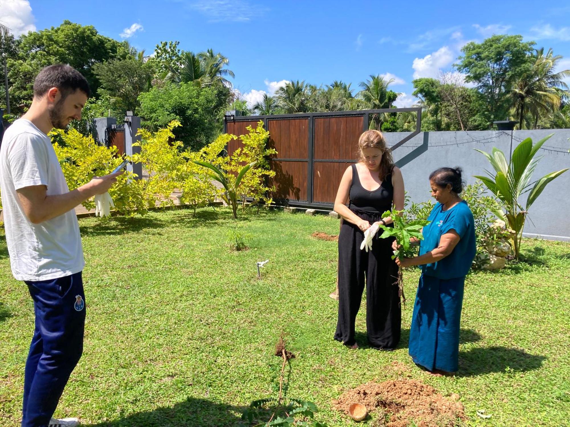 Hotel Amba Kola Udawalawa Udawalawe Esterno foto