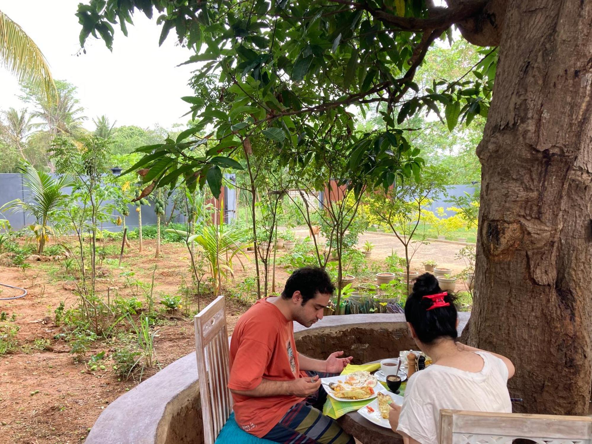 Hotel Amba Kola Udawalawa Udawalawe Esterno foto